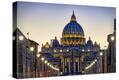 Stretched Canvas Print
