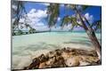 Premium Photographic Print