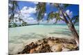 Premium Photographic Print