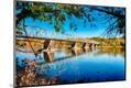 Photographic Print
