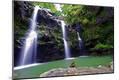 Photographic Print