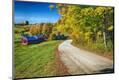 Photographic Print