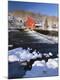 Photographic Print