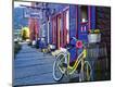 Photographic Print