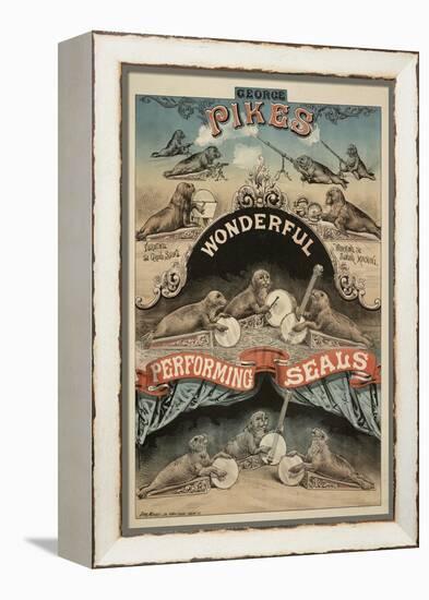 George Pike's Performing Seals-Henry Evanion-Framed Premier Image Canvas