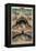 George Pike's Performing Seals-Henry Evanion-Framed Premier Image Canvas