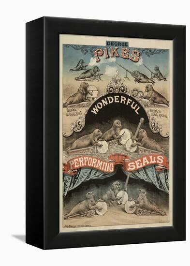 George Pike's Performing Seals-Henry Evanion-Framed Premier Image Canvas