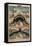 George Pike's Performing Seals-Henry Evanion-Framed Premier Image Canvas