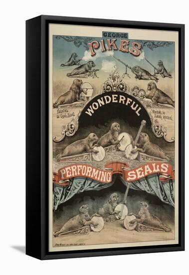 George Pike's Performing Seals-Henry Evanion-Framed Premier Image Canvas
