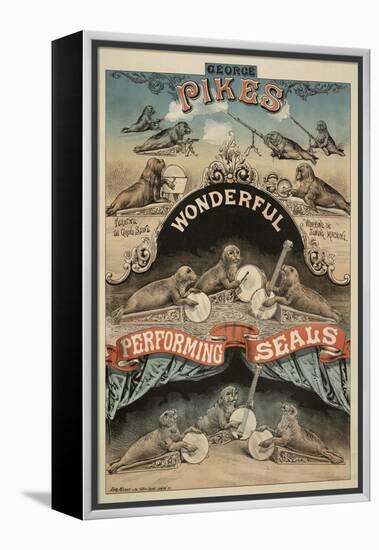 George Pike's Performing Seals-Henry Evanion-Framed Premier Image Canvas