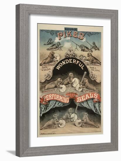 George Pike's Performing Seals-Henry Evanion-Framed Giclee Print