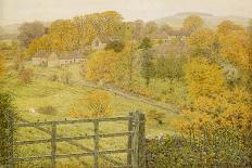 A Road Near Bettws-Y-Coed, 1851 (W/C over Graphite on Paper)-George Price Boyce-Giclee Print