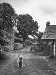 Collie Sheepdog Sitting in Road Leading Up Toward Castle Farm Owned by Beatrix Potter-George Rodger-Photographic Print