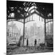 Premium Photographic Print