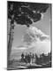 Photographic Print