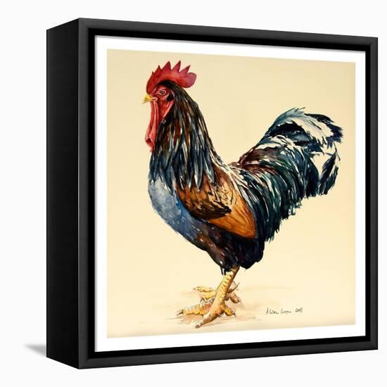 George's Cockerel, 2007-Alison Cooper-Framed Premier Image Canvas