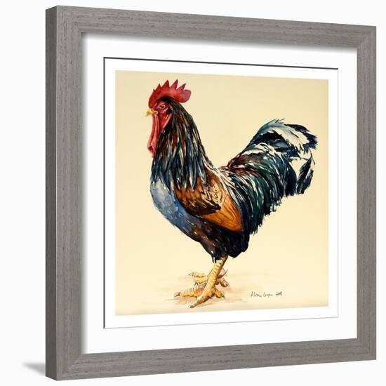 George's Cockerel, 2007-Alison Cooper-Framed Giclee Print