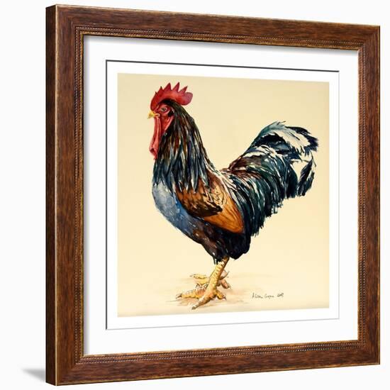 George's Cockerel, 2007-Alison Cooper-Framed Giclee Print