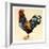 George's Cockerel, 2007-Alison Cooper-Framed Giclee Print