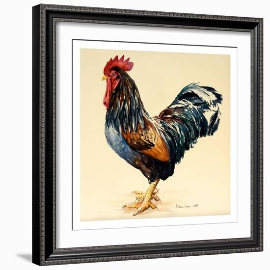 George's Cockerel, 2007-Alison Cooper-Framed Giclee Print