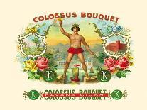 Colossus Bouquet-George S. Harris & Sons-Art Print
