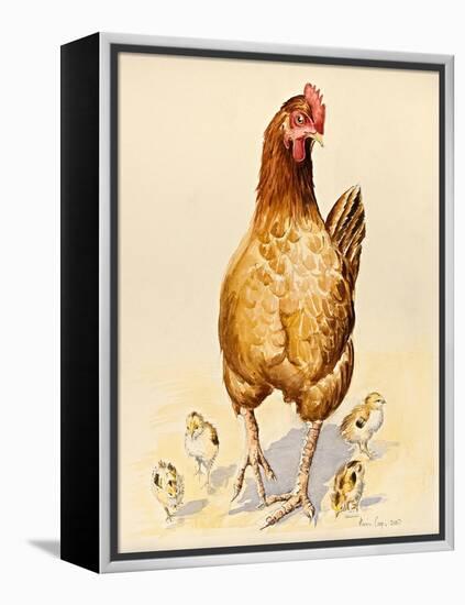 George's Hen and Her Chicks, 2007-Alison Cooper-Framed Premier Image Canvas