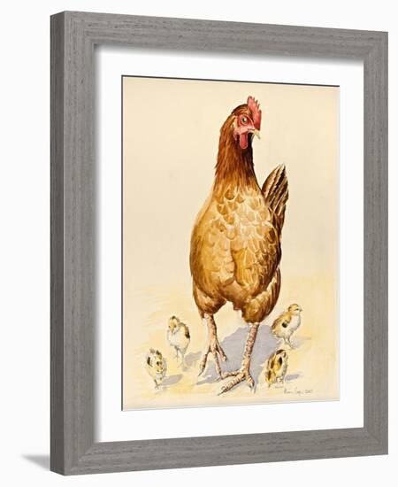 George's Hen and Her Chicks, 2007-Alison Cooper-Framed Giclee Print