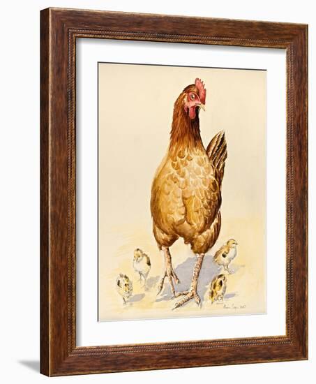 George's Hen and Her Chicks, 2007-Alison Cooper-Framed Giclee Print