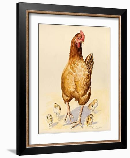 George's Hen and Her Chicks, 2007-Alison Cooper-Framed Giclee Print