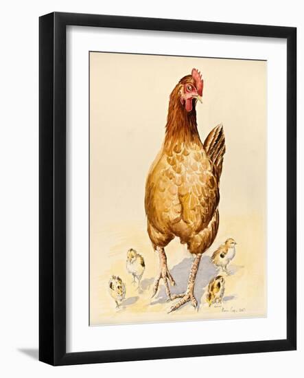 George's Hen and Her Chicks, 2007-Alison Cooper-Framed Giclee Print