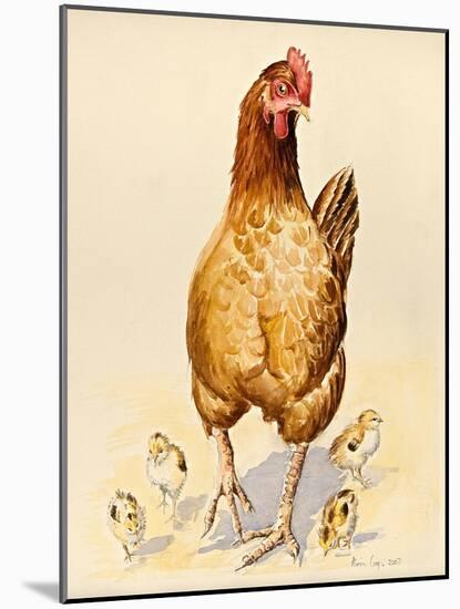 George's Hen and Her Chicks, 2007-Alison Cooper-Mounted Giclee Print