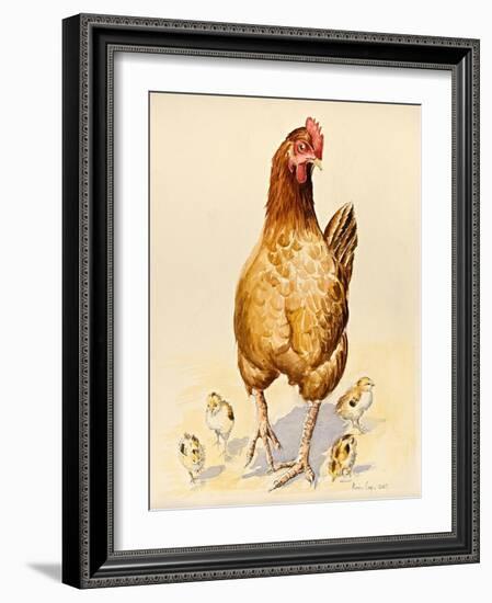 George's Hen and Her Chicks, 2007-Alison Cooper-Framed Giclee Print