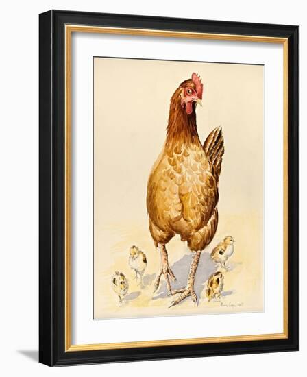 George's Hen and Her Chicks, 2007-Alison Cooper-Framed Giclee Print