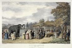 Zoological Gardens, Regent's Park, Marylebone, London, 1835-George Scharf-Giclee Print