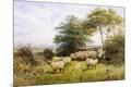 Premium Giclee Print