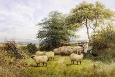 Changing Pastures-George Shalders-Framed Giclee Print