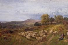 Extensive Landscape with a Shepherd and his Flock of Sheep, Surrey-George Shalders-Giclee Print