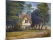 Giclee Print