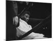 Premium Photographic Print