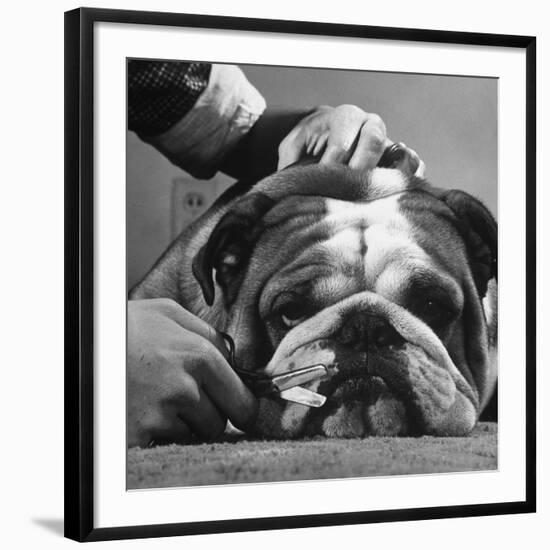 Photographic Print, , large