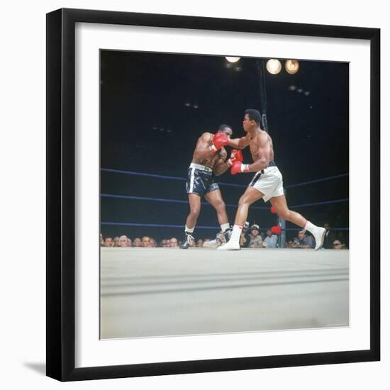 Premium Photographic Print, , large