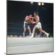 Premium Photographic Print