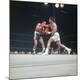 Premium Photographic Print