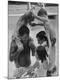 Premium Photographic Print