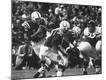 Premium Photographic Print