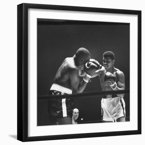 Premium Photographic Print, , large