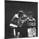 Premium Photographic Print