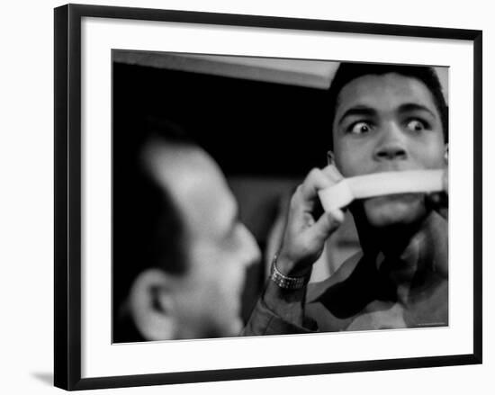 Premium Photographic Print, , large
