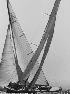 Trial Race For the America's Cup by George Silk