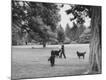 Premium Photographic Print